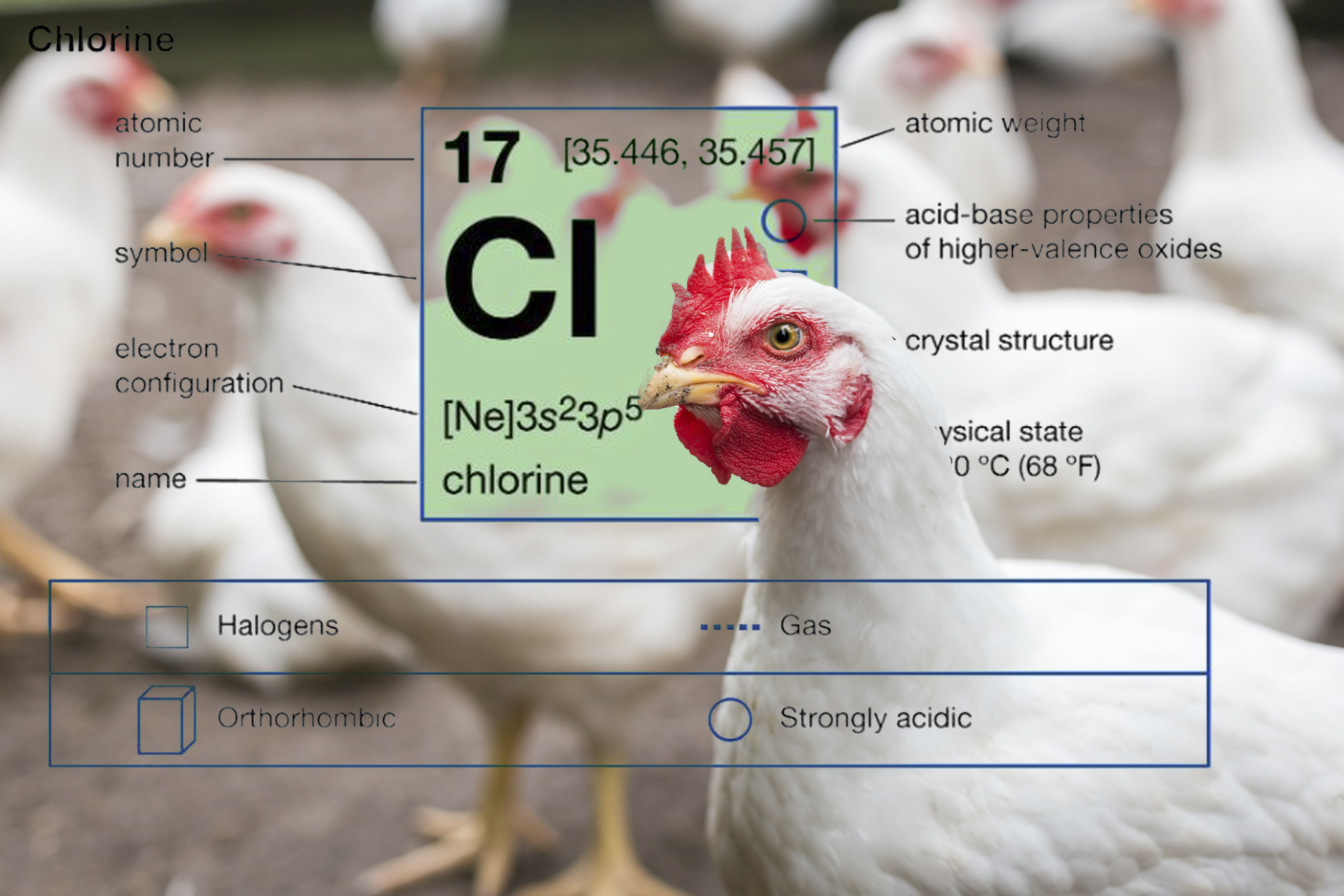 Chlorine Free Chicken